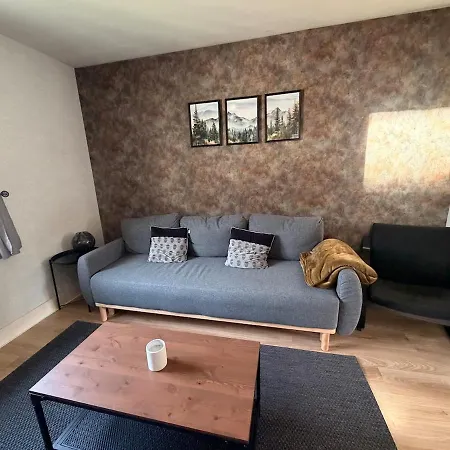 Cosy Et Spacieux - 2 Daire Gérardmer